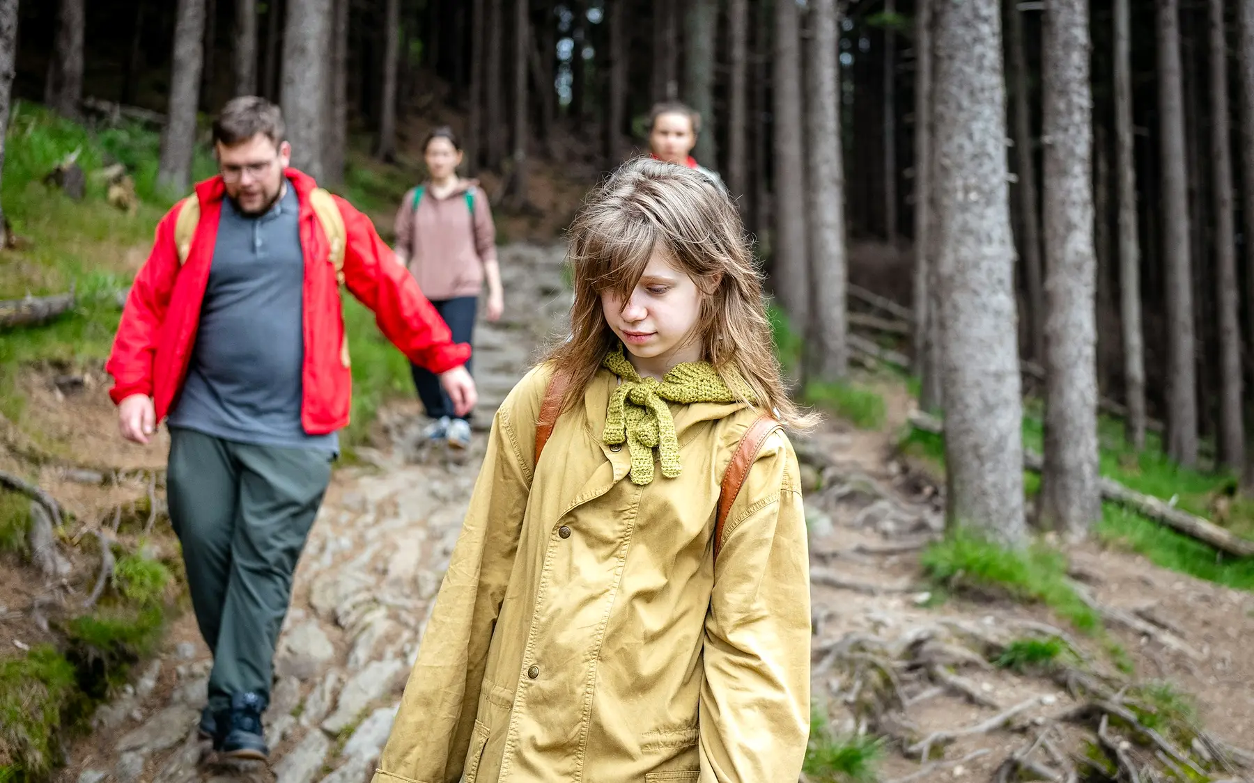 A family hiking together on a forest trail