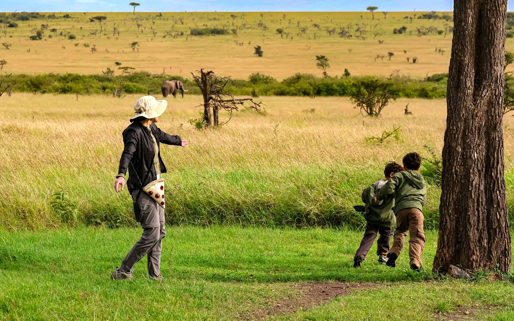 Wildebeest, zebras and safari vehicles in the Maasai Mara, Kenya