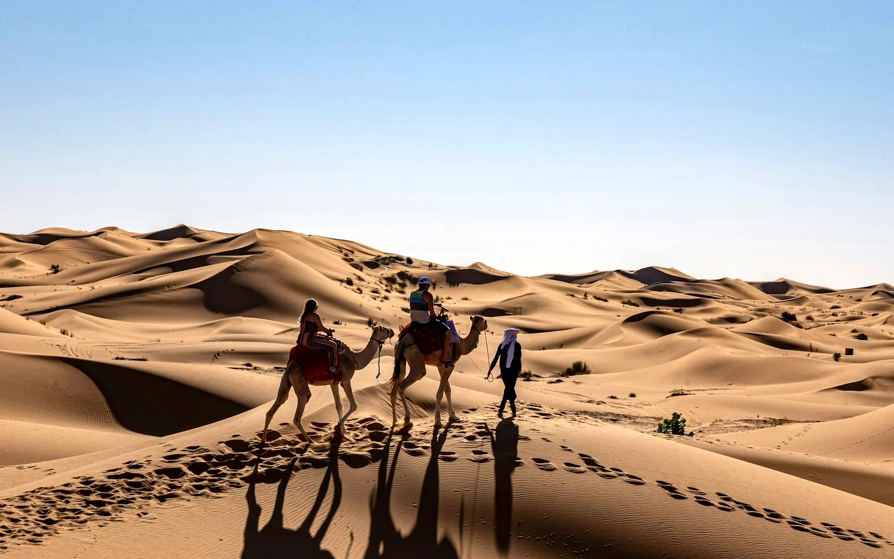 Travellers crossing the dunes of Morocco with camels and a local guide