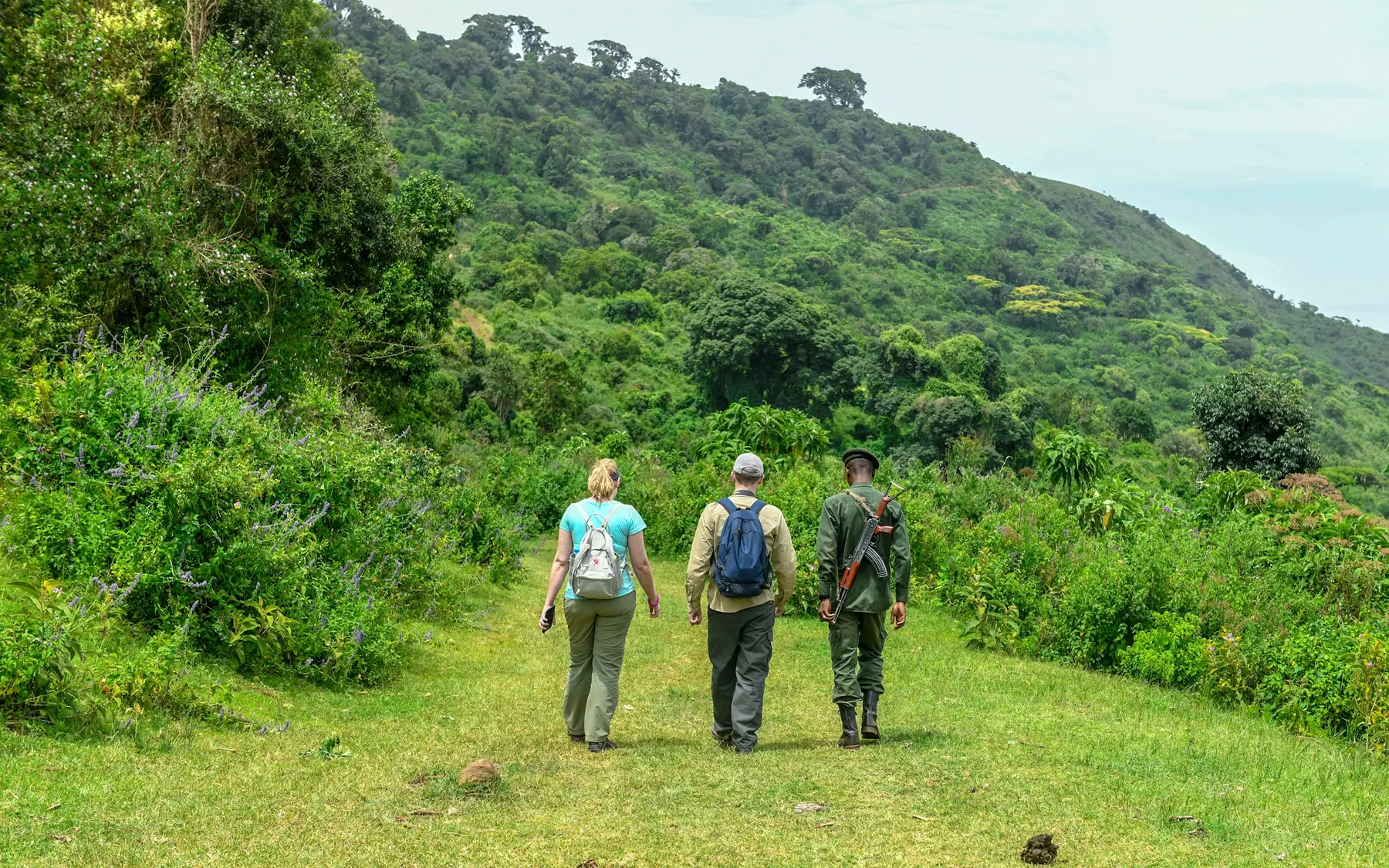 Travellers walking through a green reserve with a local ranger in Tanzania