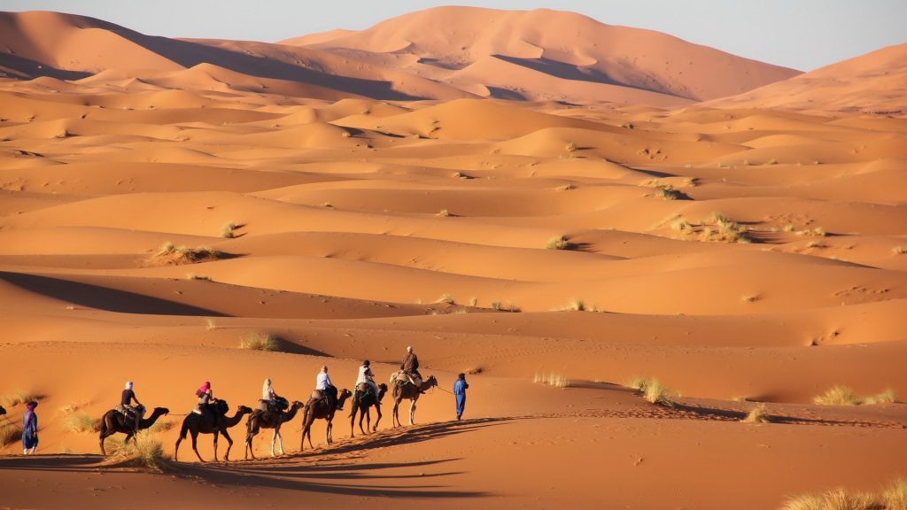 Morocco Tours